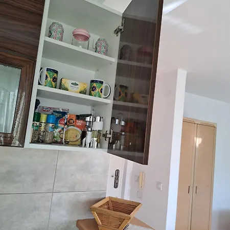Anthony * Ni